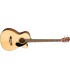 BAS GITARA ELEKTRO-AKUSTIČNA FENDER CB-60SCE Natural