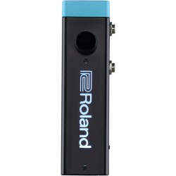 TRIGGER ROLAND RT-MICS Hybrid Drum Module