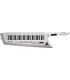 SYNTHESIZER ROLAND AX-EDGE-W