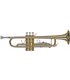 GEWA TR650 Ambition TRUBA