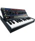 ROLAND JU-06A BOUTIQUE SYNTHESIZER