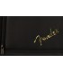 FENDER STRUMMER CMPFRE MATTE BLK WN GITARA ELEKTRO-AKUSTIČNA