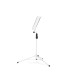 GRAVITY NS 441 W STALAK NOTE