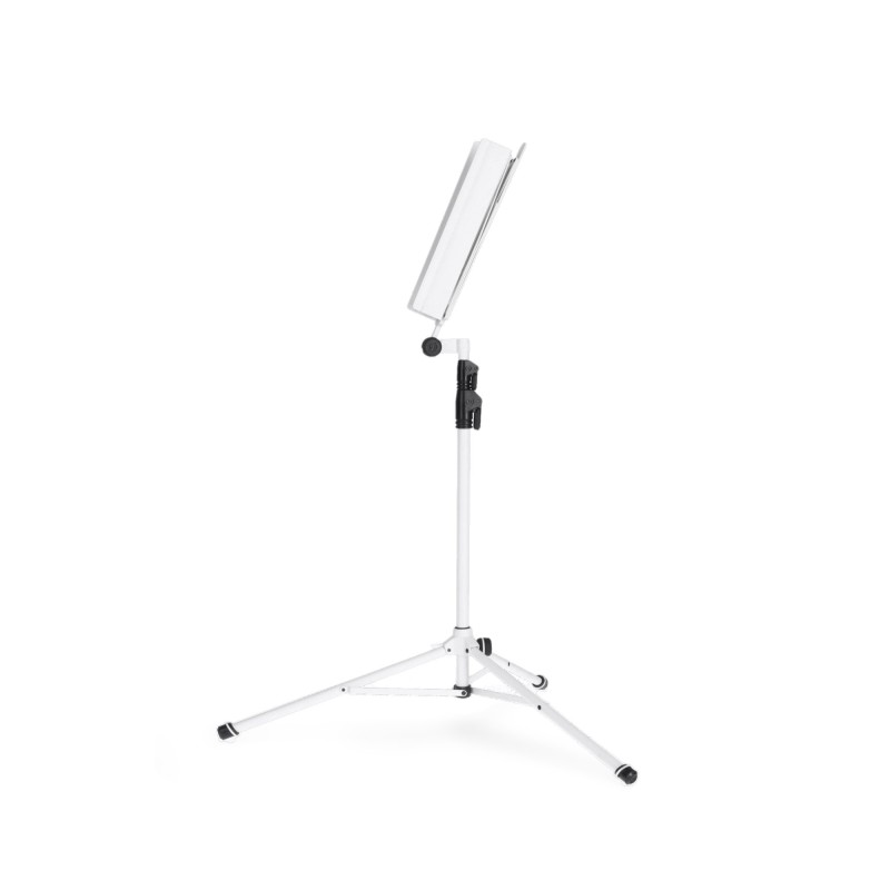 GRAVITY NS 441 W STALAK NOTE
