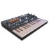 ARTURIA MICROFREAK SYNTHESIZER