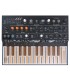 ARTURIA MICROFREAK SYNTHESIZER