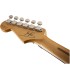 FENDER ARTIST DAVE MURRAY STRATOCASTER HHH RW 2TSB GITARA ELEKTRIČNA