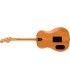 FENDER HIGHWAY DREADNOUGHT NAT RW W/B GITARA ELEKTRO-AKUSTIČNA