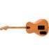 FENDER HIGHWAY PARLOR MAH RW W/B GITARA ELEKTRO-AKUSTIČNA