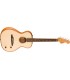 FENDER HIGHWAY PARLOR NAT RW W/B GITARA ELEKTRO-AKUSTIČNA