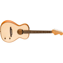 FENDER HIGHWAY PARLOR NAT RW W/B GITARA ELEKTRO-AKUSTIČNA