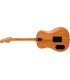 FENDER HIGHWAY DREADNOUGHT MAH RW W/B GITARA ELEKTRO-AKUSTIČNA