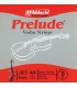 ®ICA DADDARIO VIOLINA J813 D