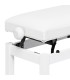 STAGG PB36WH M + sjedalo SWH STOLICA KLAVIRSKA