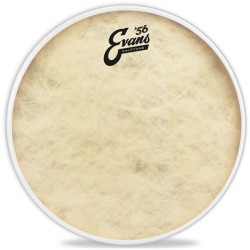 EVANS TT10C7 10" CALFTONE PLASTIKA