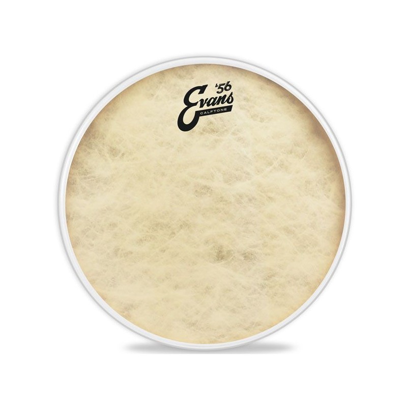 EVANS TT10C7 10" CALFTONE PLASTIKA