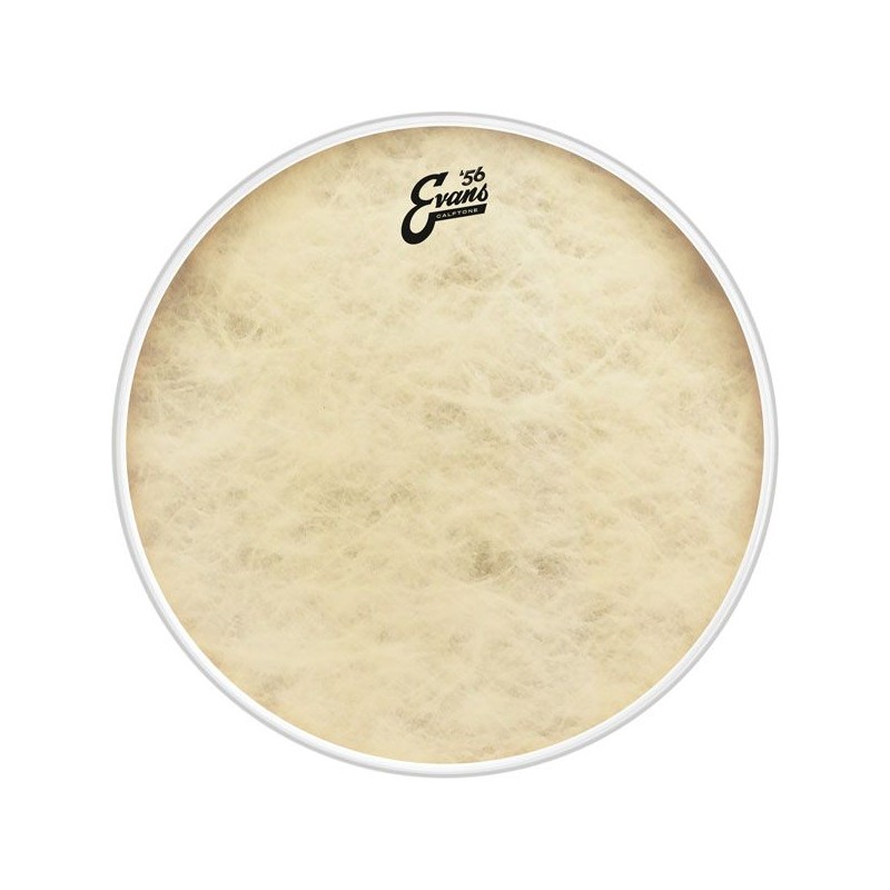 EVANS BD18CT 18" CALFTONE PLASTIKA