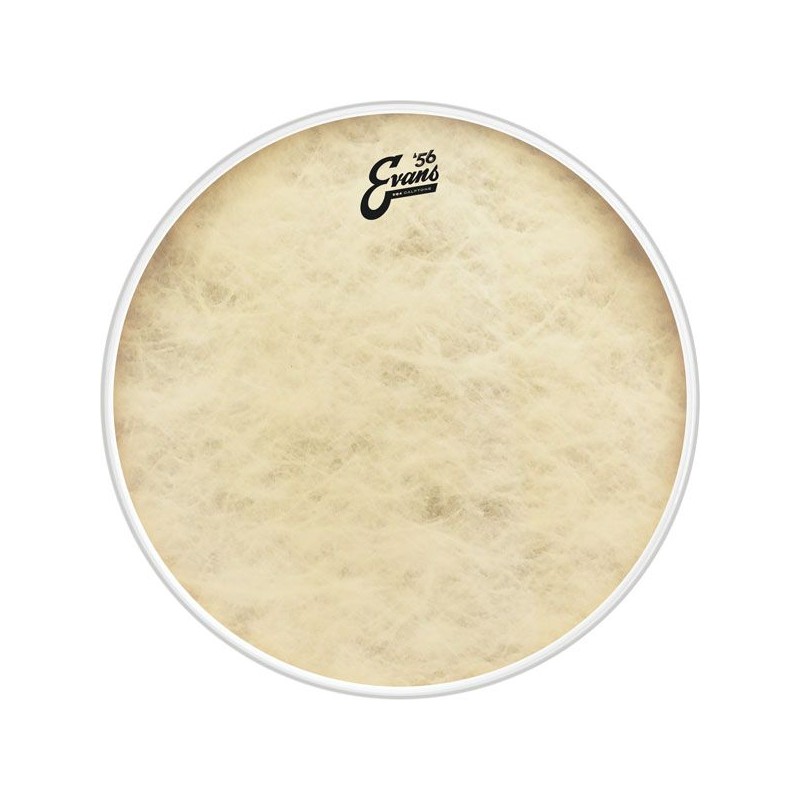 EVANS BD22GB4CT EQ4 22" CALFTONE PLASTIKA