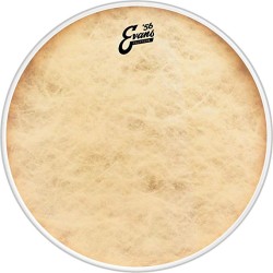 EVANS BD20CT 20"  CALFTONE PLASTIKA