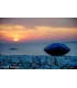 VIBE HANDPAN D Celtic Minor 8