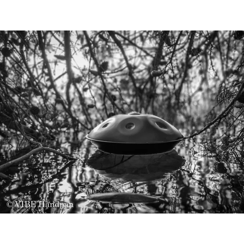 VIBE HANDPAN D Celtic Minor 8