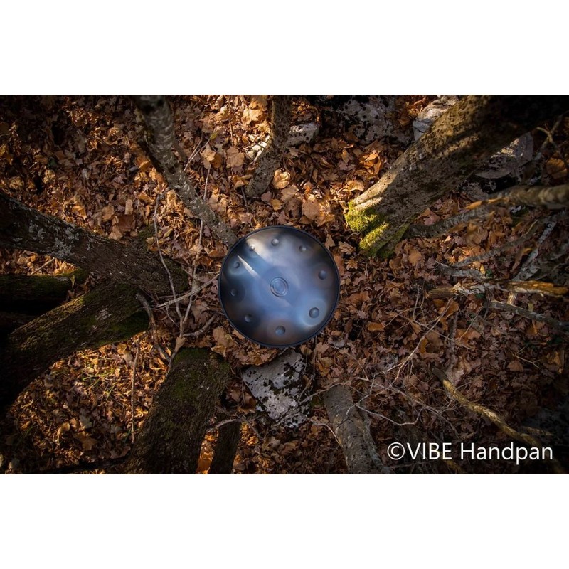 VIBE HANDPAN D Celtic Minor 8