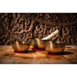 MEINL SB-U-1500 SINGING BOWL SET