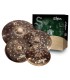 ZILDJIAN S DARK CYMBAL SET (14/16/18/20) ČINELE