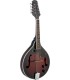 STAGG M50 E e/a MANDOLINA