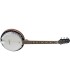 STAGG BJM30 G 6-STR BANJO
