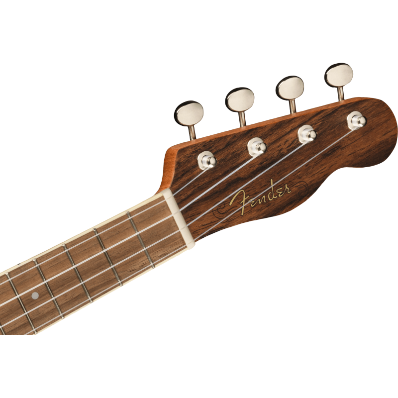 FENDER ZUMA CONCERT BOCOTE WN UKULELE