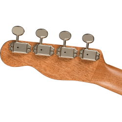 FENDER ZUMA CONCERT BOCOTE WN UKULELE