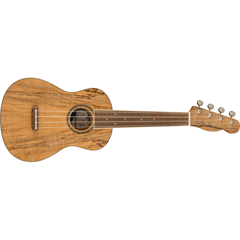 FENDER ZUMA CONCERT SPALTED WN UKULELE