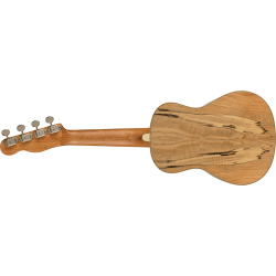 FENDER ZUMA CONCERT SPALTED WN UKULELE