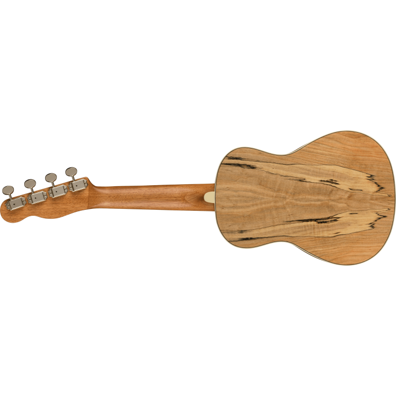 FENDER ZUMA CONCERT SPALTED WN UKULELE