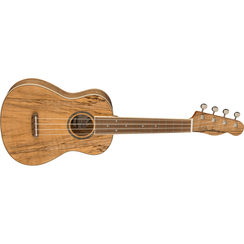 FENDER ZUMA CONCERT SPALTED WN UKULELE