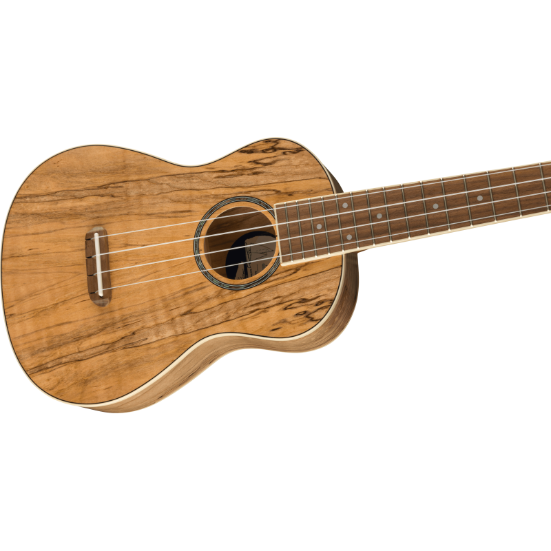 FENDER ZUMA CONCERT SPALTED WN UKULELE