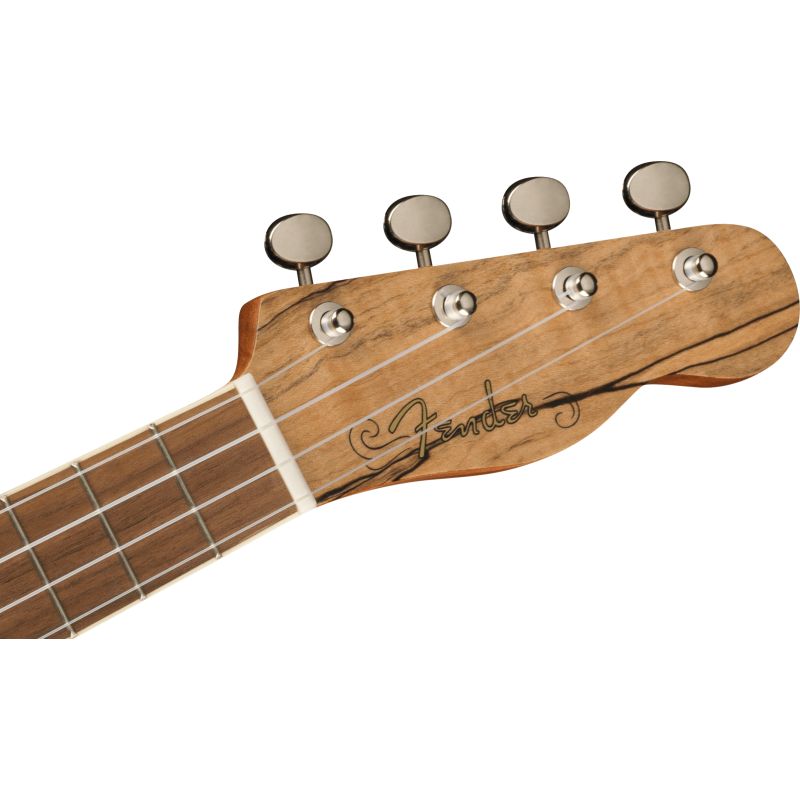 FENDER ZUMA CONCERT SPALTED WN UKULELE