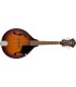 FENDER PM-180E MANDOLINA