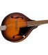 FENDER PM-180E MANDOLINA