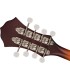 FENDER PM-180E MANDOLINA