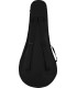 FENDER PM-180E MANDOLINA