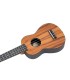 ORTEGA KEIKI K3-ACA+torba+pribor UKULELE
