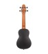 ORTEGA KEIKI K2-VP+torba+pribor UKULELE