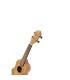ORTEGA TIMBER RFU10Z+torba UKULELE