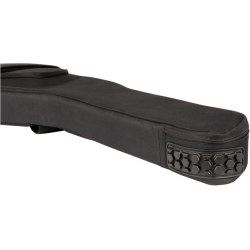 FENDER FE620 ELEKTRIČNA GITARA NAVLAKA