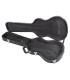 GEWA FX WOOD LP ELEKTRIČNA GITARA KOFER