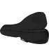 FENDER FAS405 SMALL BODY AKUSTIČNA GITARA NAVLAKA