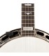 D'ADDARIO PW-CT-16 BANJO ŠTIMER
