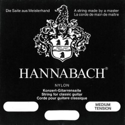 HANNABACH KLASIČNA GITARA 8002MT B2 ŽICA